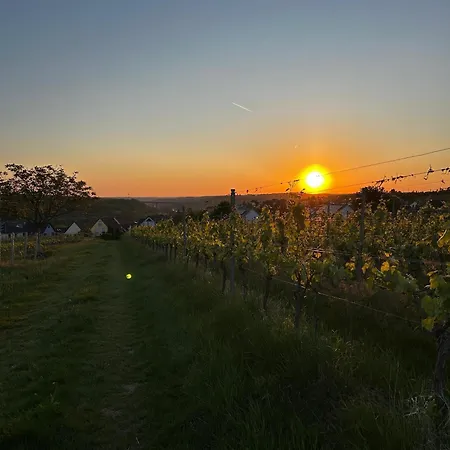 Helle - - Mit Terrasse Und Parkplatz Nahe An Den Weinbergen *