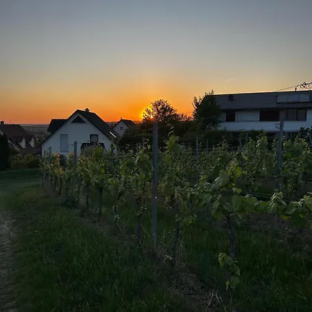 Apartment Charmante An Der Obernbreiter Kanzel - 50 M Bis Zu Den Weinbergen Obernbreit